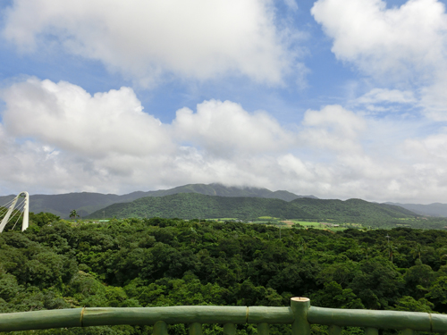 カンムリワシ展望台