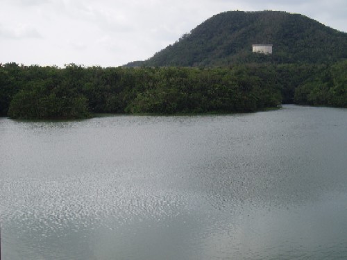 水鳥観察所
